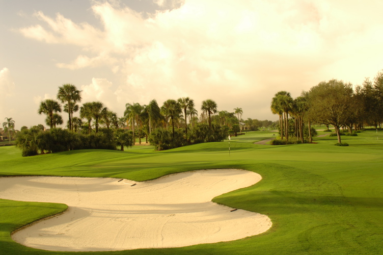 vineyardsnaplesnorthcourse0374