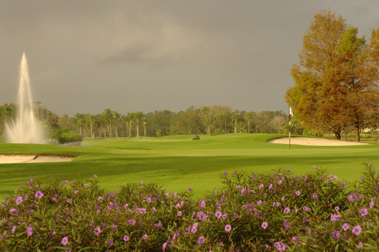 vineyardsnaplesnorthcourse0381