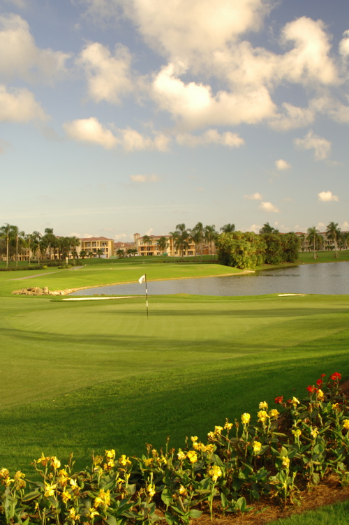 vineyardsnaplesnorthcourse0462