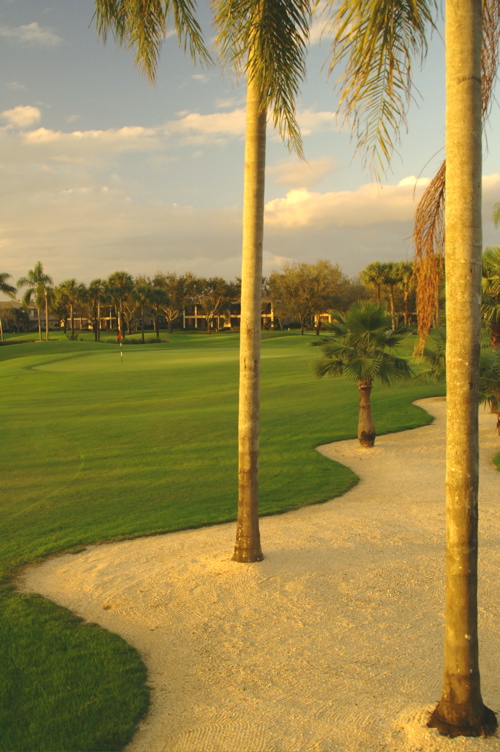 vineyardsnaplesnorthcourse0332