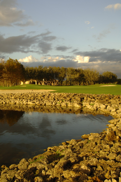 vineyardsnaplesnorthcourse0306