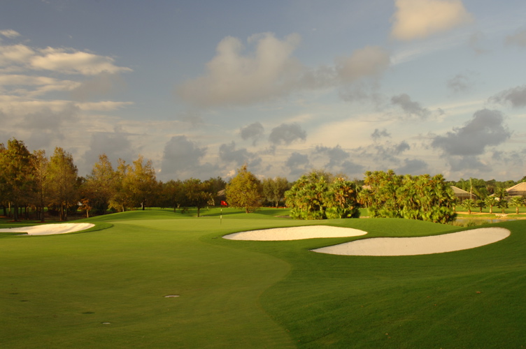 vineyardsnaplesnorthcourse0470