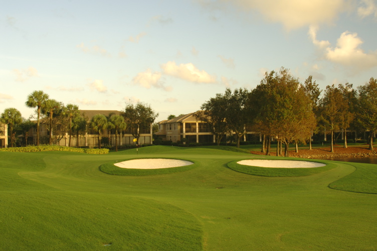 vineyardsnaplesnorthcourse0472