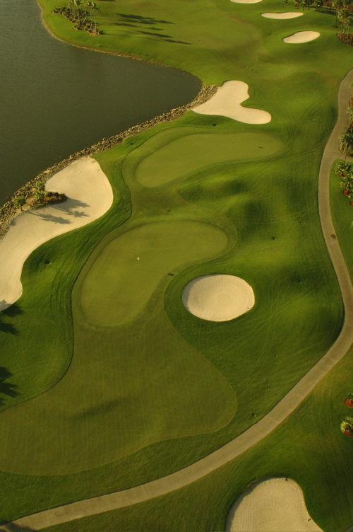 vineyardsnaplesaerialphotography0568