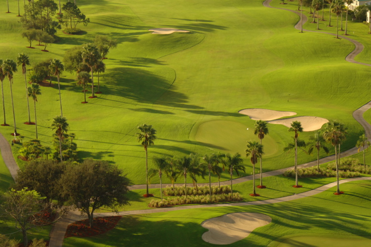 vineyardsnaplesaerialphotography0550