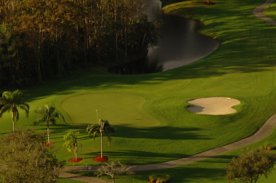 vineyardsnaplesaerialphotography0548