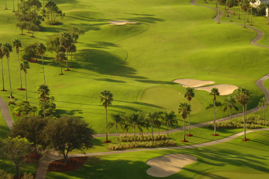 vineyardsnaplesaerialphotography0550