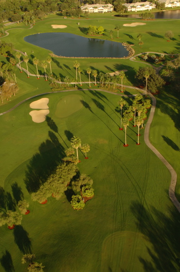 vineyardsnaplesaerialphotography0552