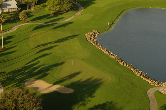 vineyardsnaplesaerialphotography0554