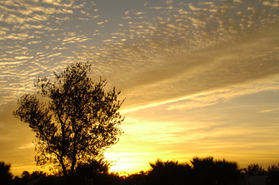 vineyardsnaplessouthcourse0595