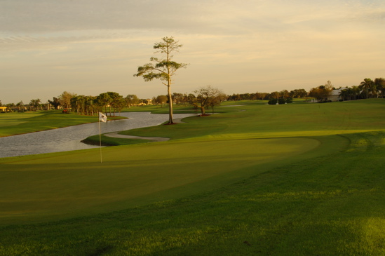 vineyardsnaplessouthcourse0598