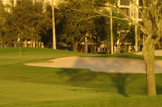 vineyardsnaplessouthcourse0690