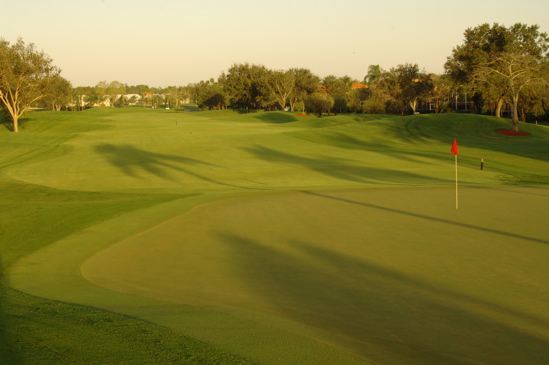 vineyardsnaplessouthcourse0693