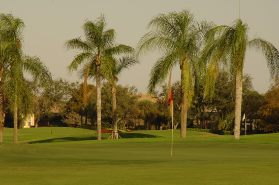 vineyardsnaplessouthcourse0644