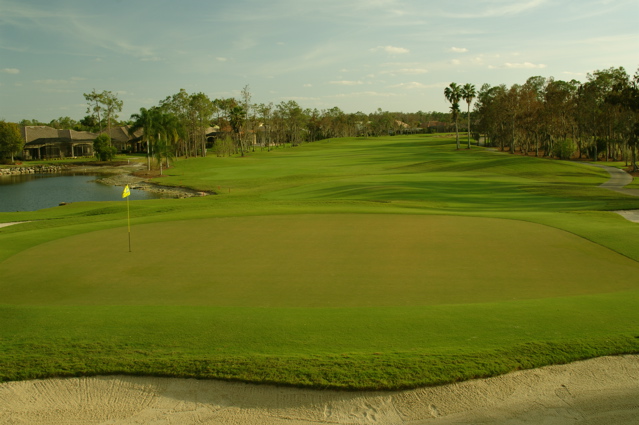 wildcat run golf and country club0078