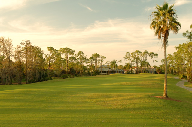 wildcat run golf and country club0046