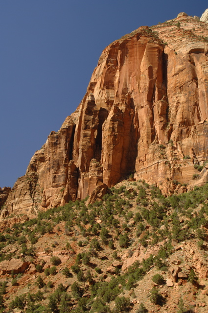 ZionNationalPark0062