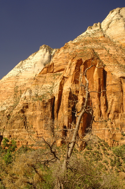 ZionNationalPark0069