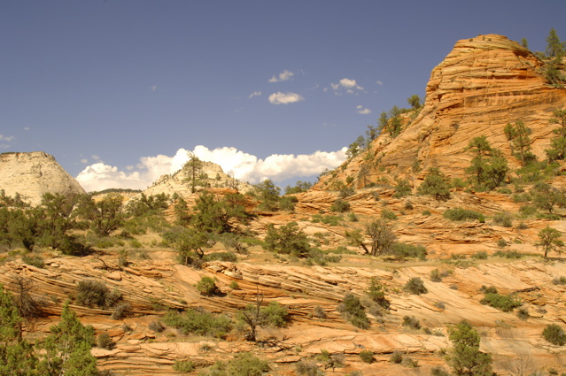 ZionNationalPark0079