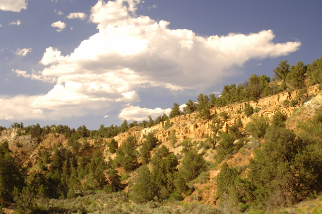 ZionNationalPark0089