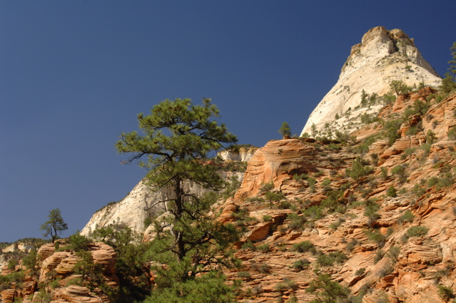 ZionNationalPark0076