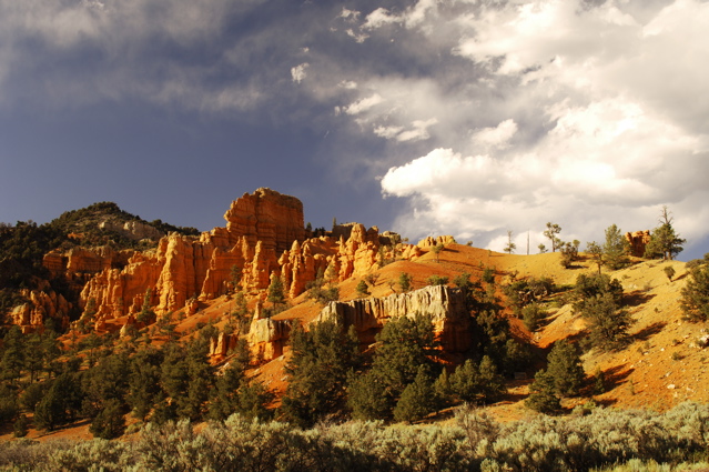 ZionNationalPark0100