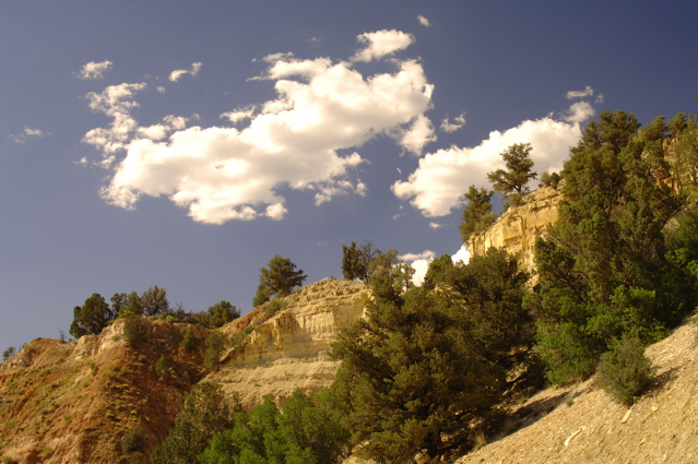 ZionNationalPark0087