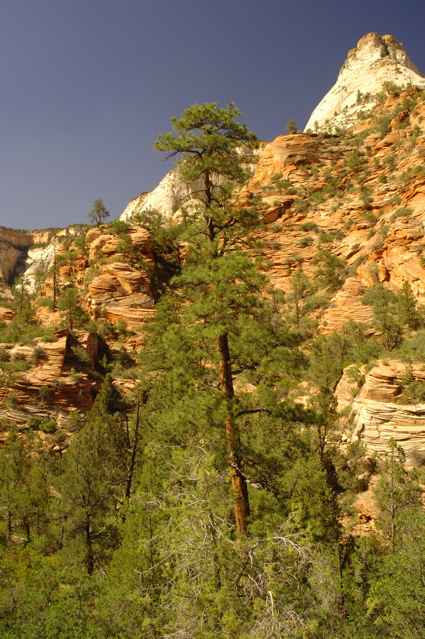 ZionNationalPark0075