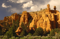 ZionNationalPark0101