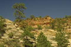 ZionNationalPark0073