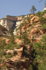 ZionNationalPark0078