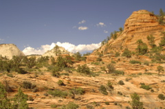 ZionNationalPark0079