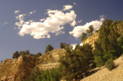 ZionNationalPark0087