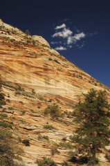 ZionNationalPark0081